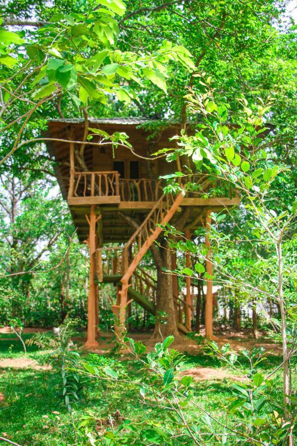 Villa Lotus Eco *