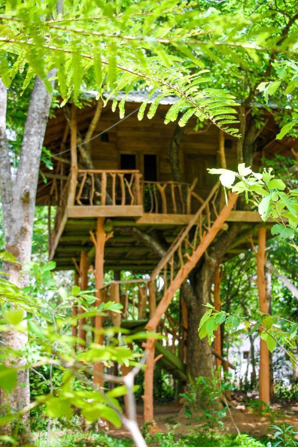 Lotus Eco Villa