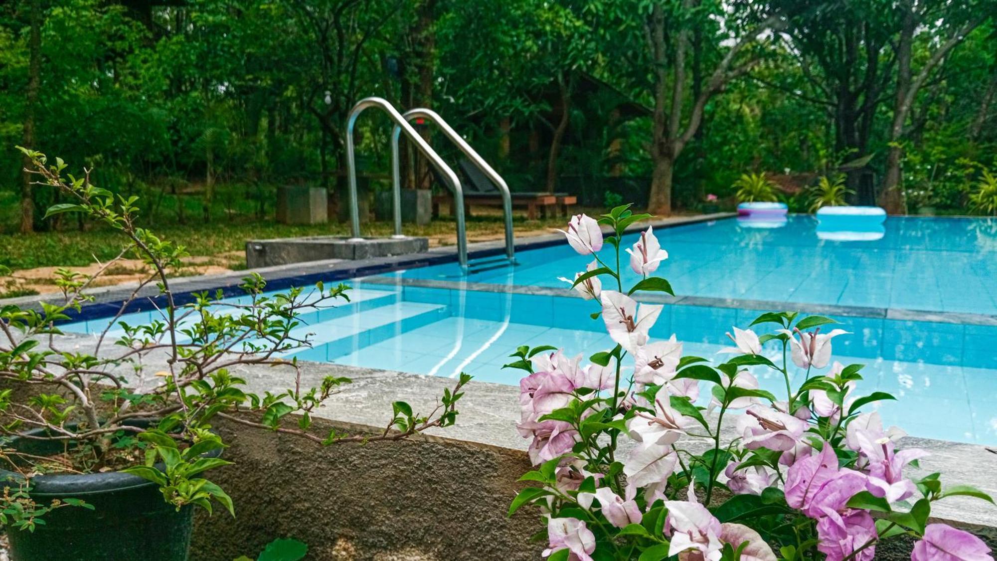 Lotus Eco Villa