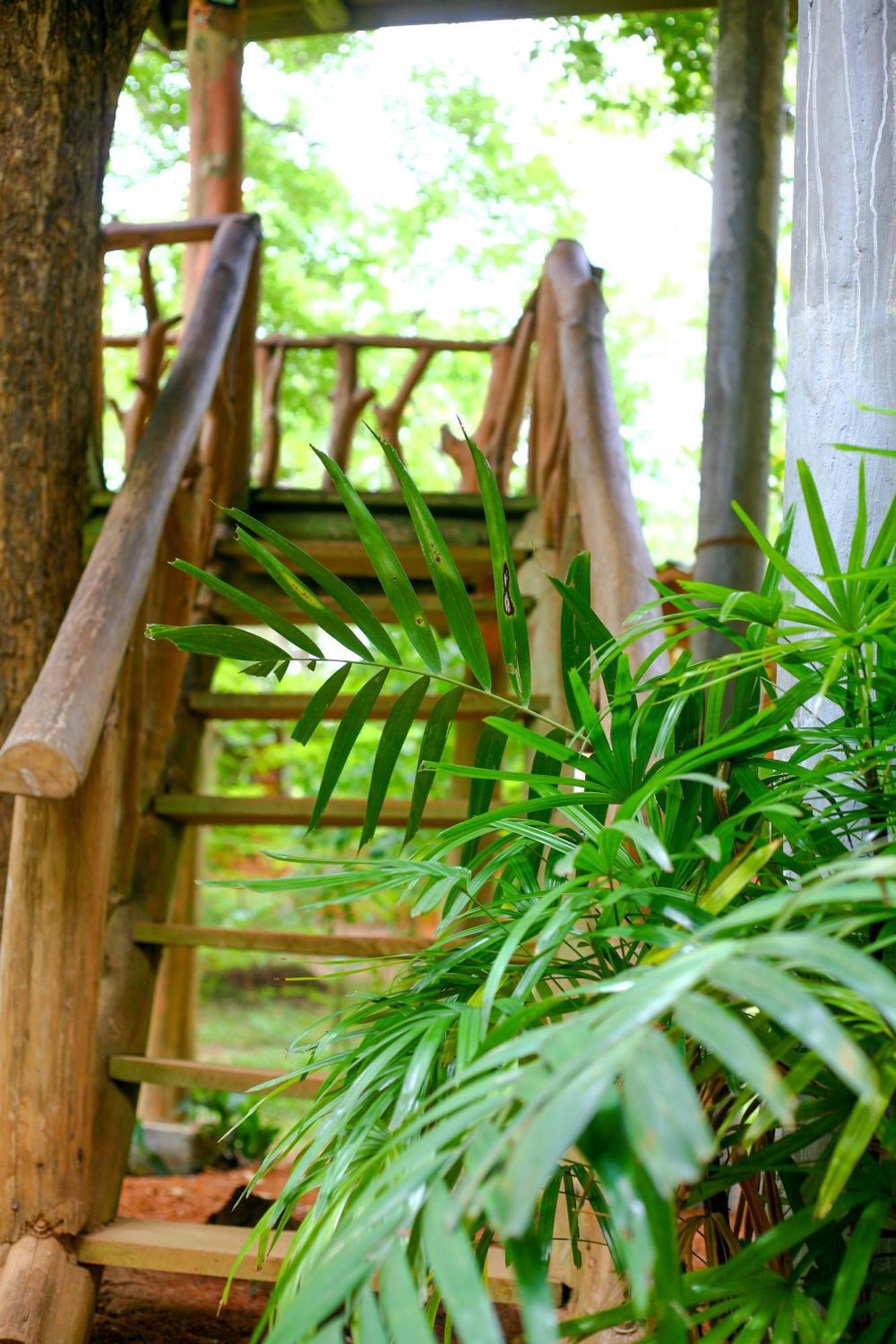 Villa Lotus Eco Sigiriya