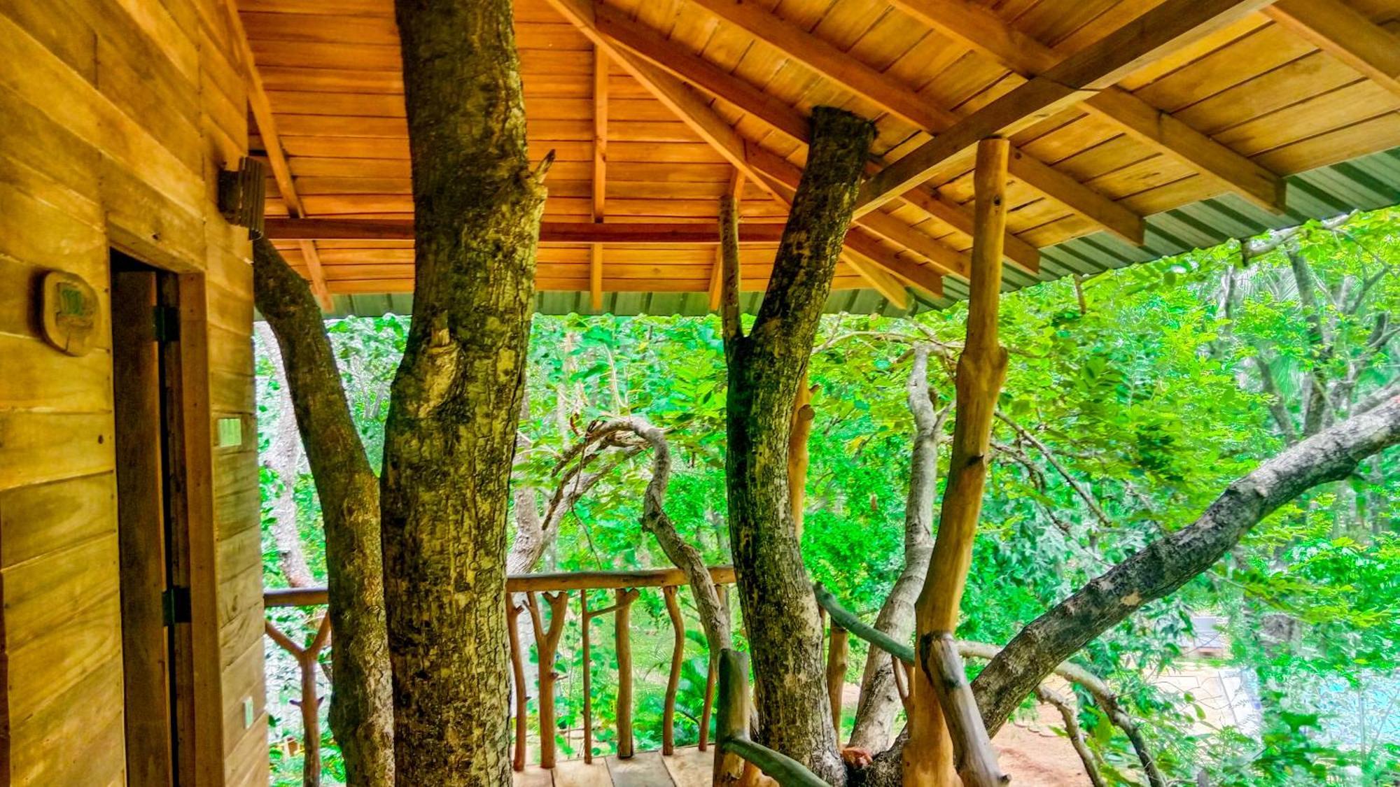 Lotus Eco Sigiriya