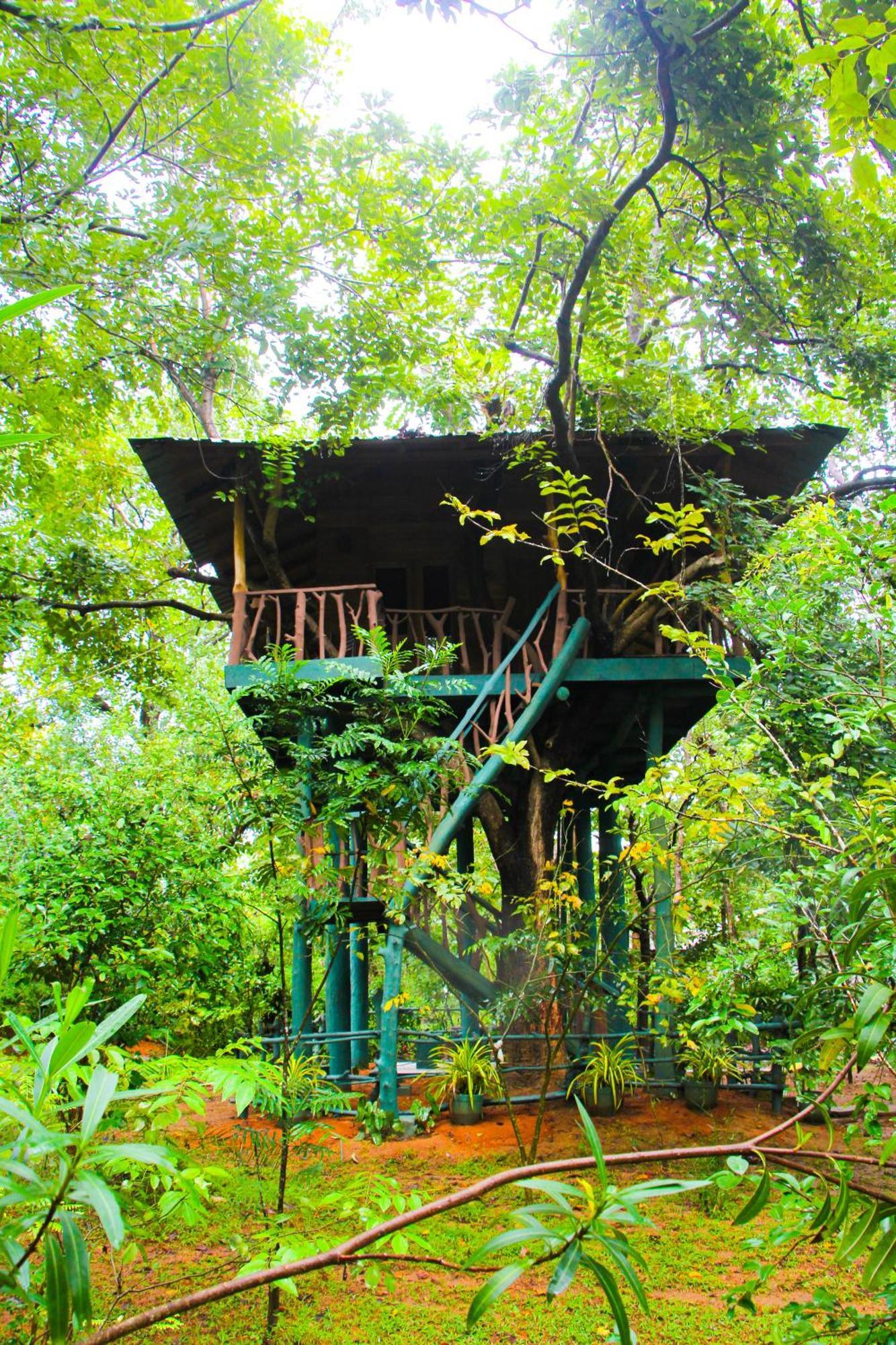 Villa Lotus Eco Sigiriya