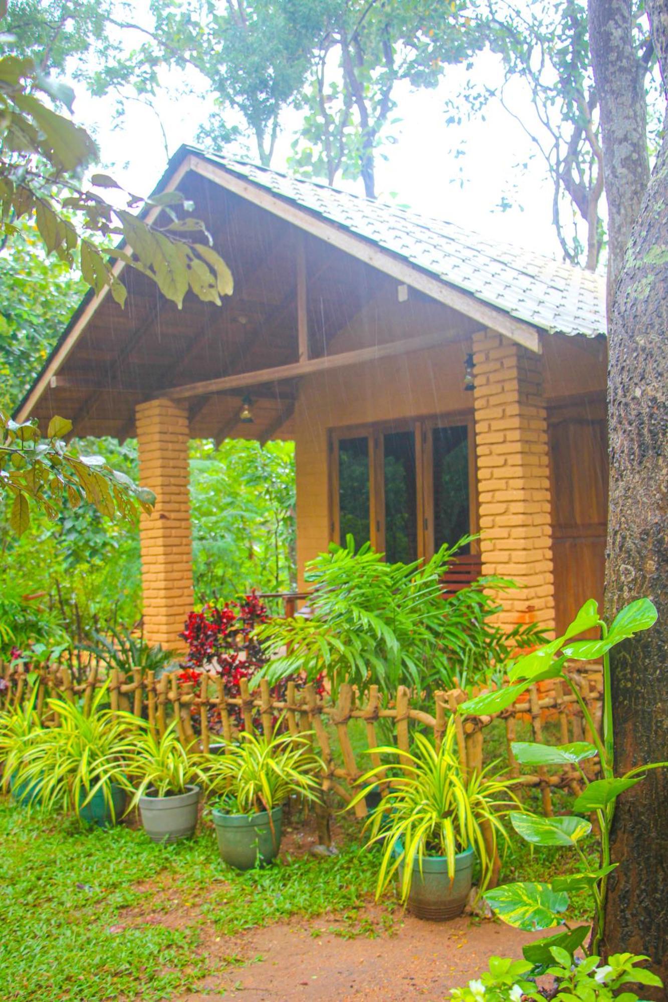 Villa Lotus Eco *