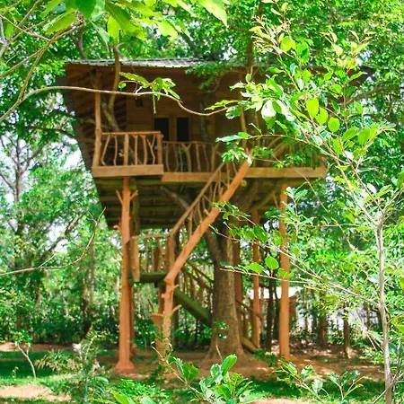 Lotus Eco Villa Sigiriya Exterior photo