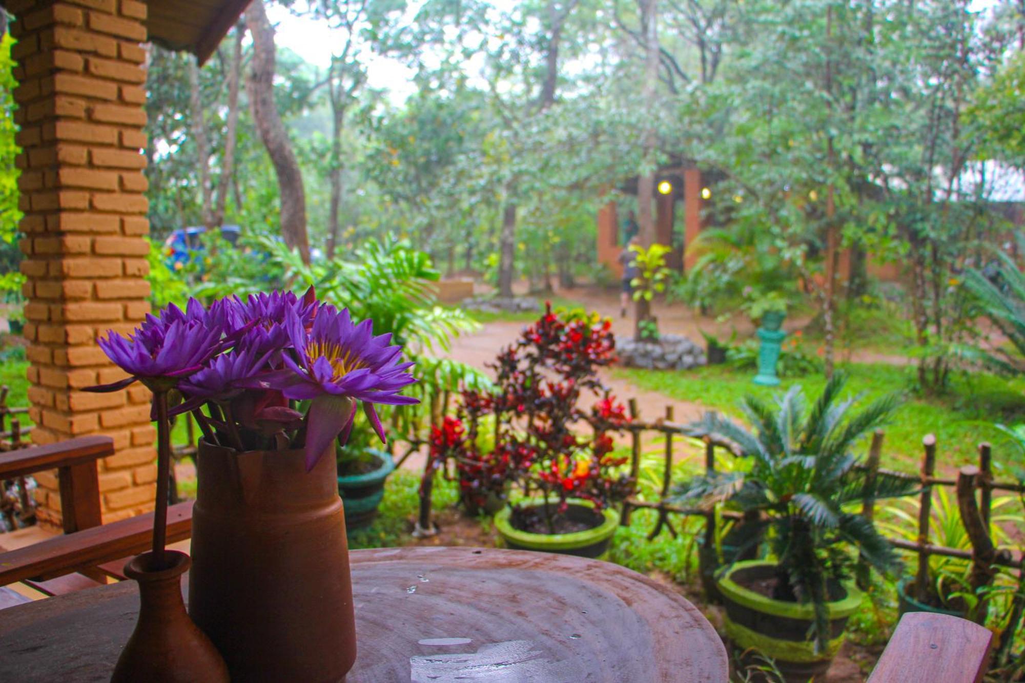 Lotus Eco Villa *